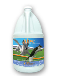 Alive dog and cat odor control